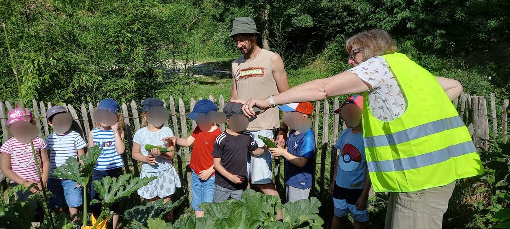 JUIN 2023 : Accueil pour la sensibilisation à la biodiversité des bambins de Talmont