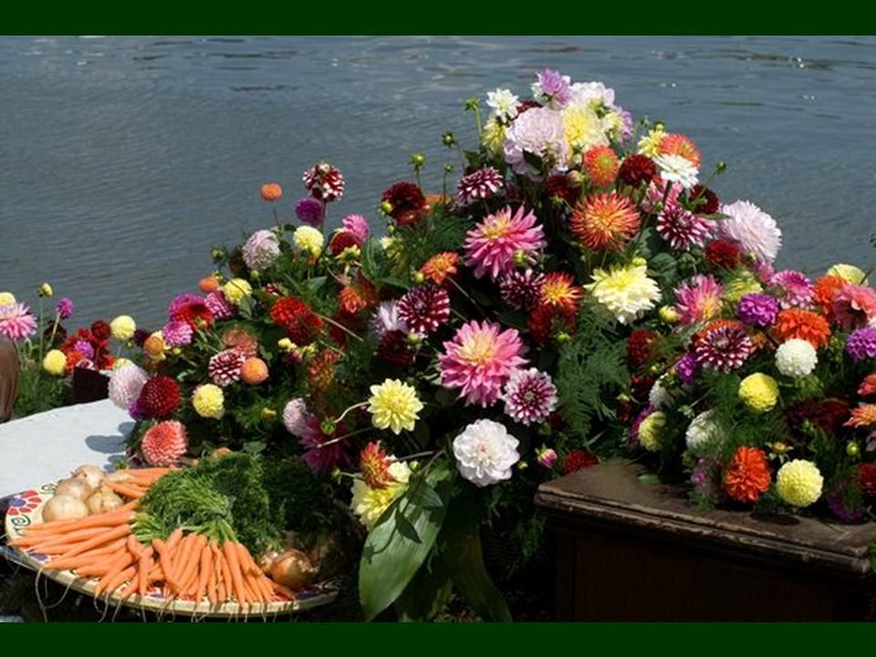Hollande - seconde partie des marchés flottant