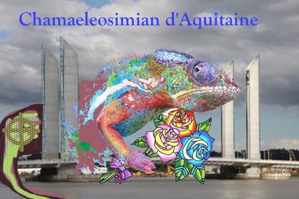 Et le rose-bleu caméléon d'aquitaine se mit à aimer le brun