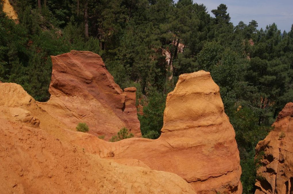 Album - Sortie---Roussillon