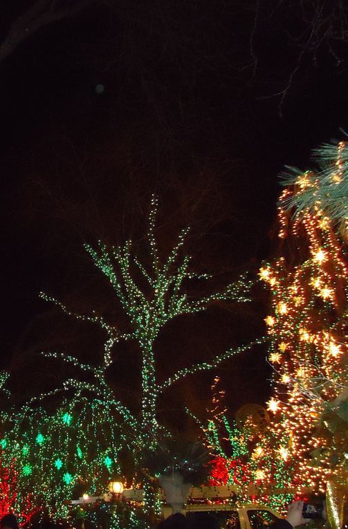 A ne pas manquer : DYKER HEIGHTS : un quartier de Brooklyn aux couleurs de Noël.