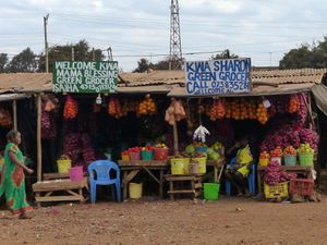 La route de Monbassa et le Sud du Kenya