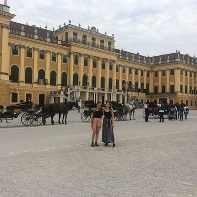 Dimanche 17 Juin - Schönbrunn 