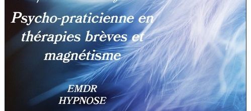 FORMATION DE MAGNETISME NIVEAU 2 LE SAMEDI 11 FEVRIER 2017 DE 10H à 18H