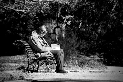 Le vieux lettré