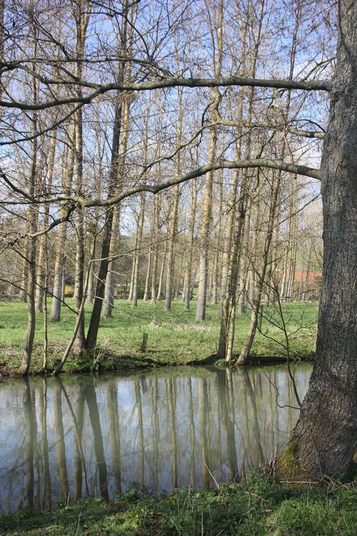 Abbaye Sainte Berthe   à Blangy sur Ternoise