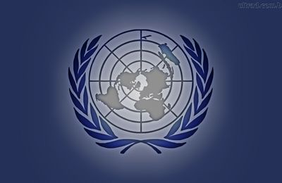 « L’occupation israélienne » mise en accusation par l’ONU (Mondafrique)