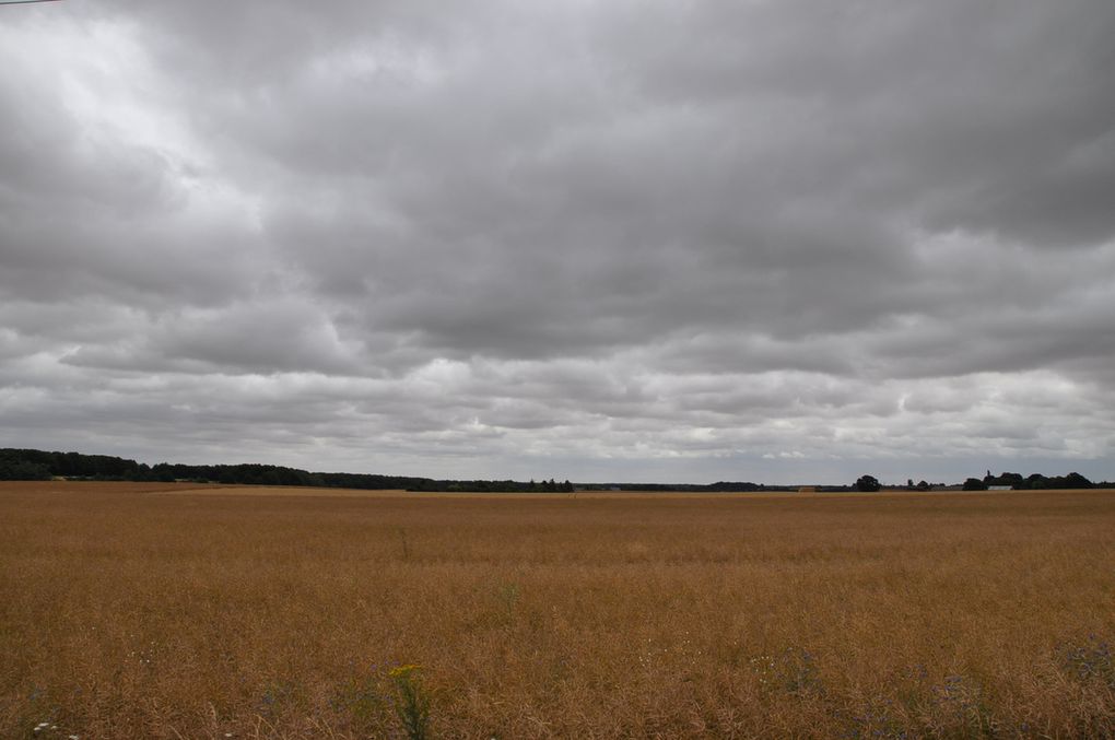 De la Ferté Vidame par Verneuil sur Avre à Damville