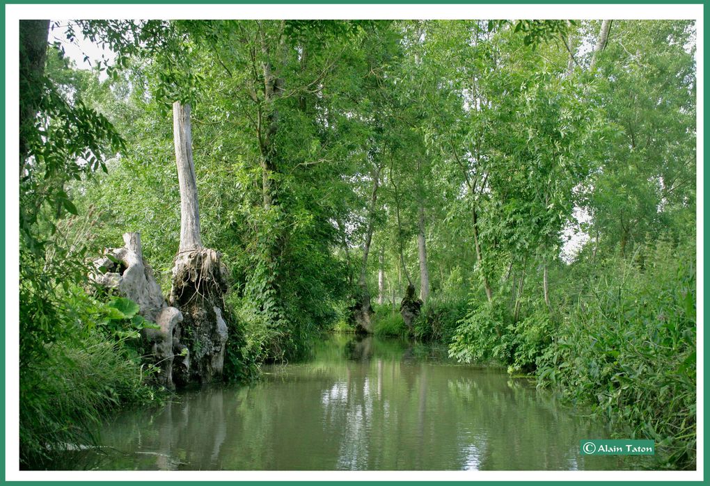 Album - le-marais-Poidevin