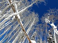 Les grandes stations du Colorado