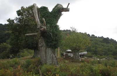 LA TERRE DES SEIGNEURS