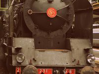 Une machine à vapeur, la 231K8 habituée de la gare de Lyon dans les années 40 sera présentée en chauffe.