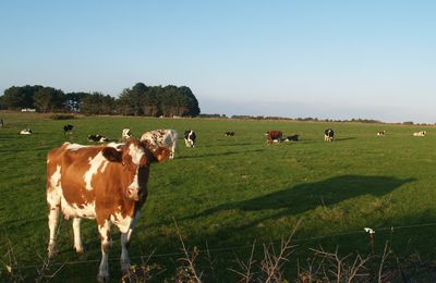 Agriculture : vers un mode de production durable