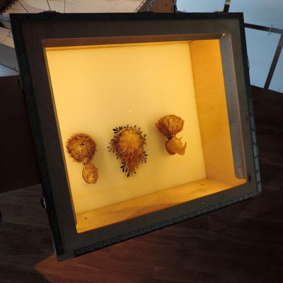 Scandinavian's style 2/2