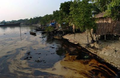 Catastrophique marée noire au Bangladesh