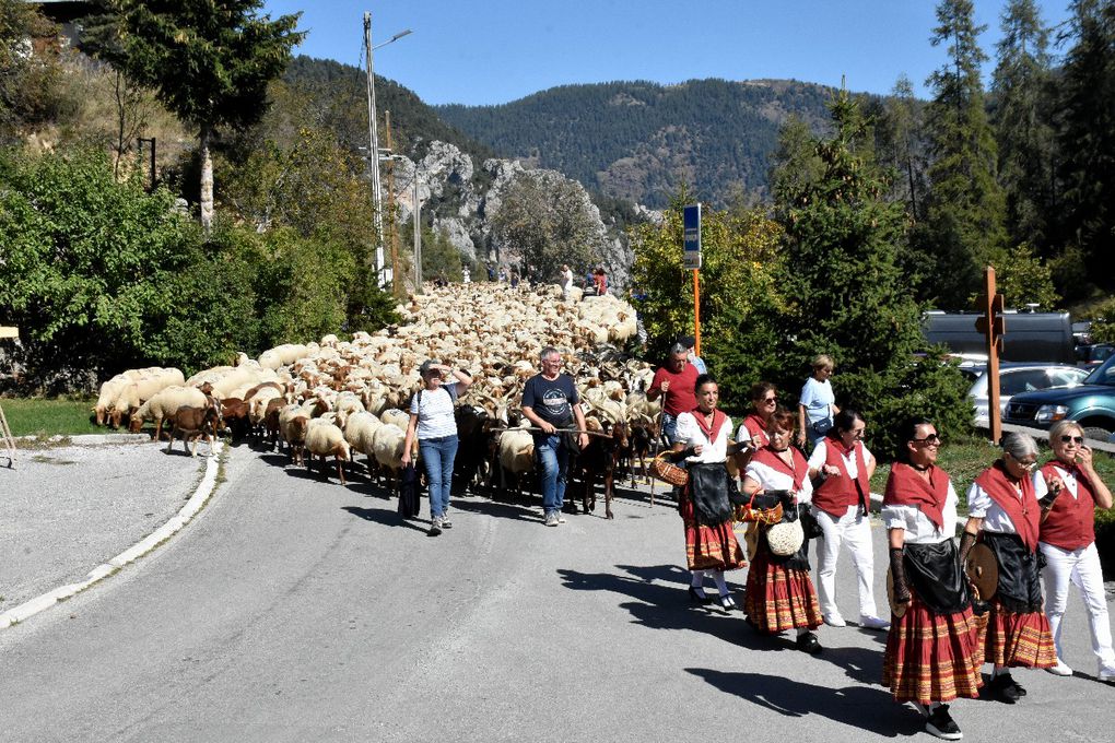 TRANSHUMANCE DANS LES ALPES MARITIMES (2)