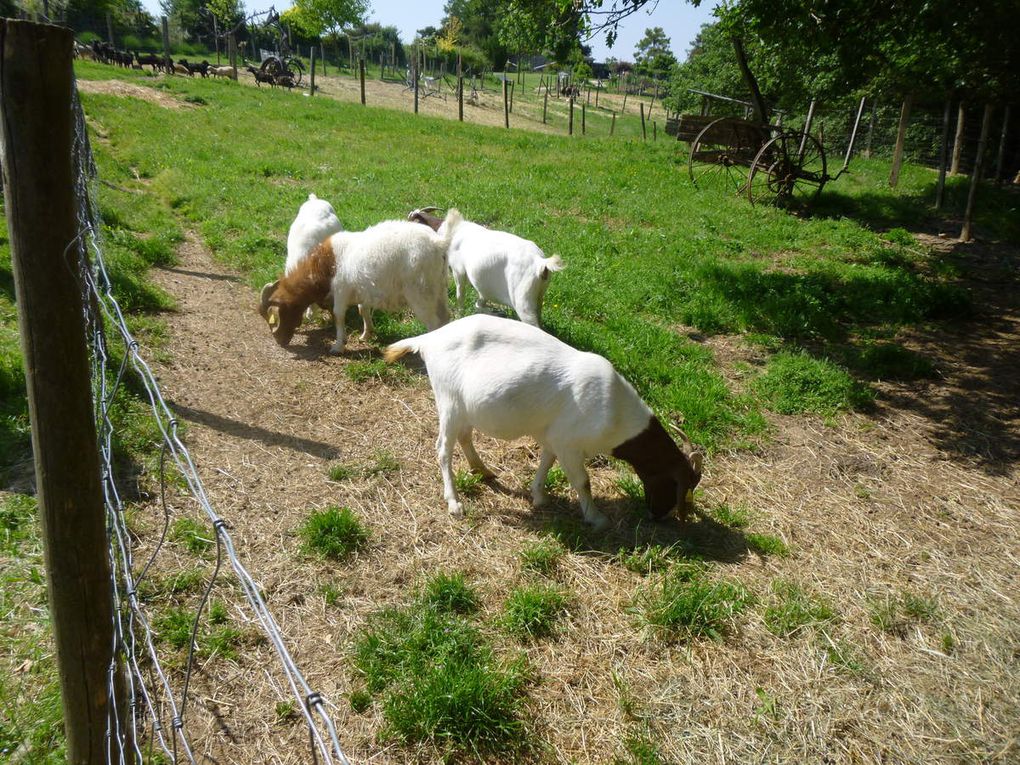 La sortie famille du 28 mai 2016