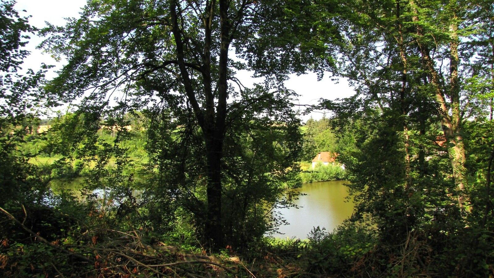 les étangs de Bourcq