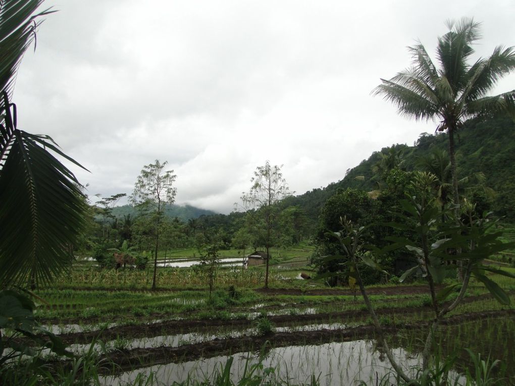 Album - 2010-06-01-BALI