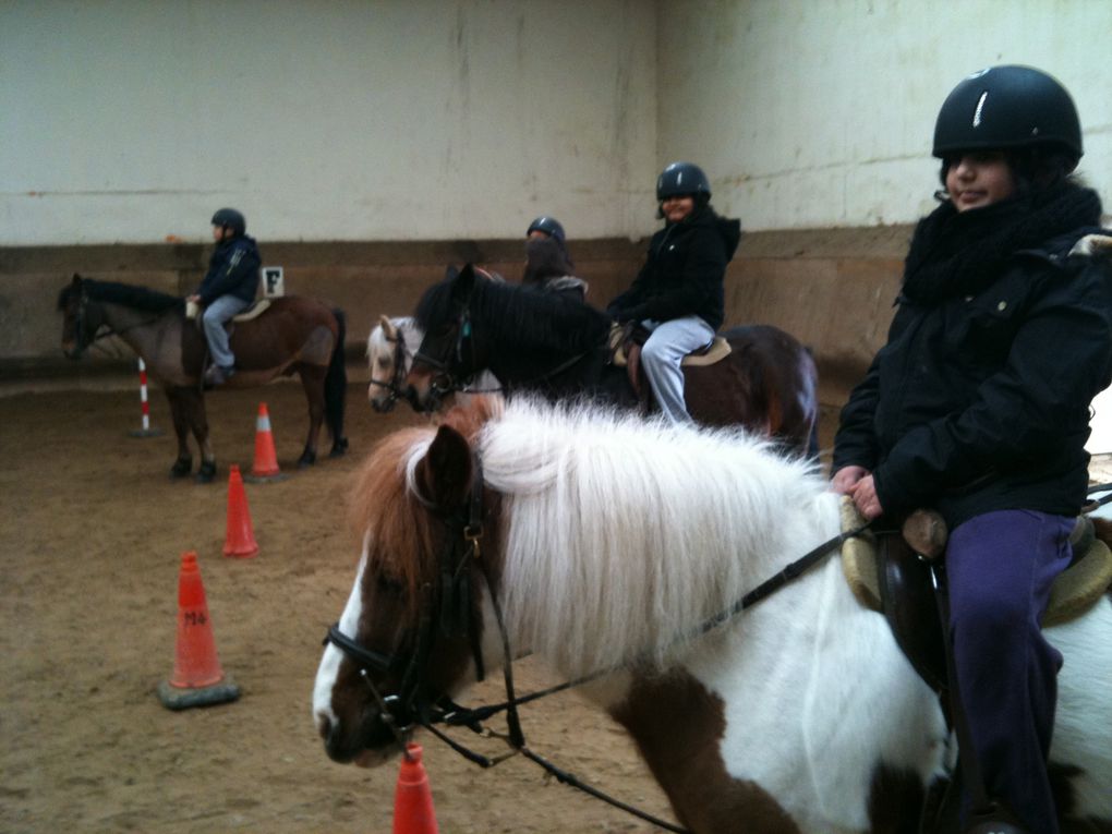 Les élèves de l'école Louise Michel et leurs poneys...