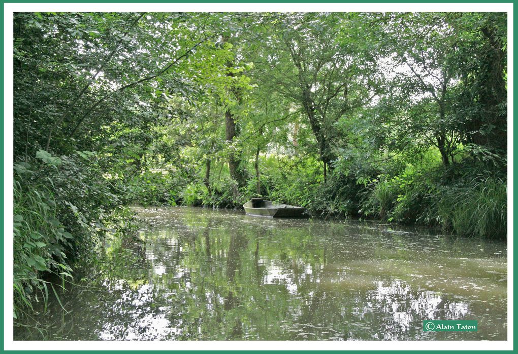 Album - le-marais-Poidevin