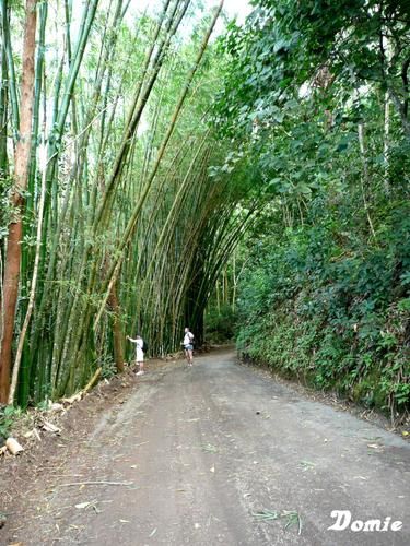 Voyage sur Mayotte