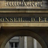 Enfance maltraitée : l'interdiction d'exercer d'une pédopsychiatre de Toulouse annulée
