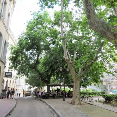 Des détails à tous les coins de rue / Balade à Montpellier dans l'Hérault