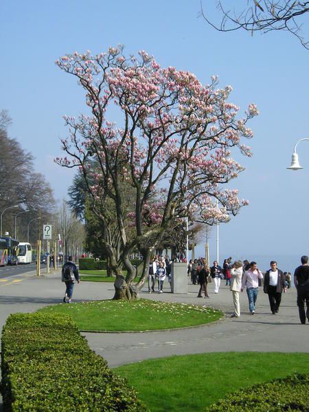 Parcours effectu&eacute;&nbsp;sur trois jours le week end du 7 avril 2007 avec une nuit a Bern et une autre a Lausanne.