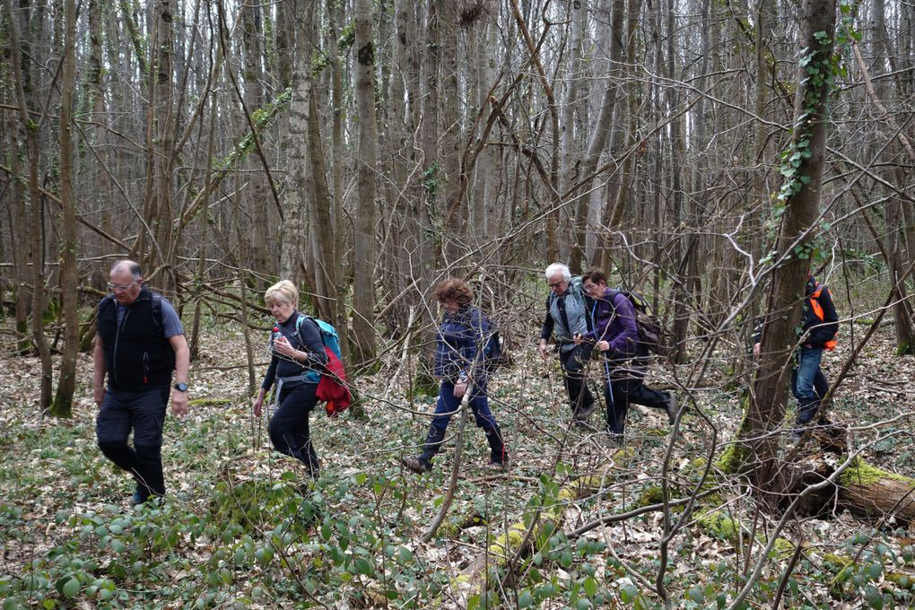 Rando Forges les Bains du 07 mars 2024