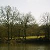 Promenade en forêt