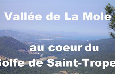 « Aéroport du Golfe de St-Tropez » La position des Associations de protection de l'Environnement