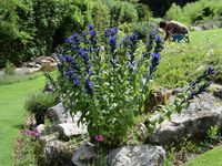 Le jardin de Berchigrange : comment en parler sans le trahir ?