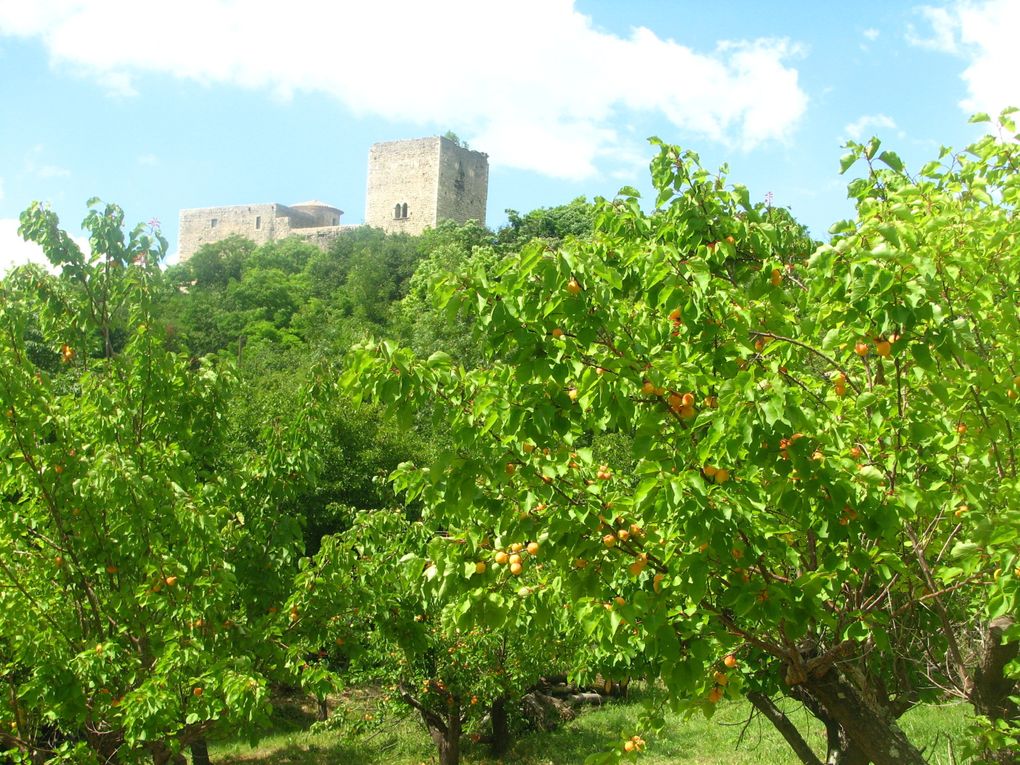 Photos de paysages drômois