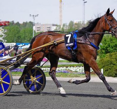 Quinté Mardi à Vincennes : Maharani de Baroda peut briller ! 