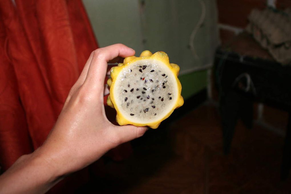 Pitaya