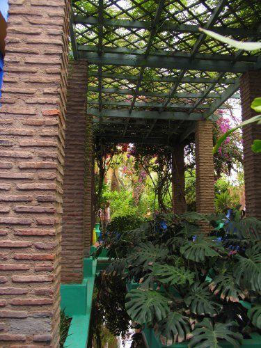 Le Jardin Majorelle et ses merveilleuses couleurs (même sous la pluie)