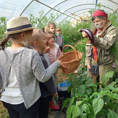 Accueil de groupes au jardin