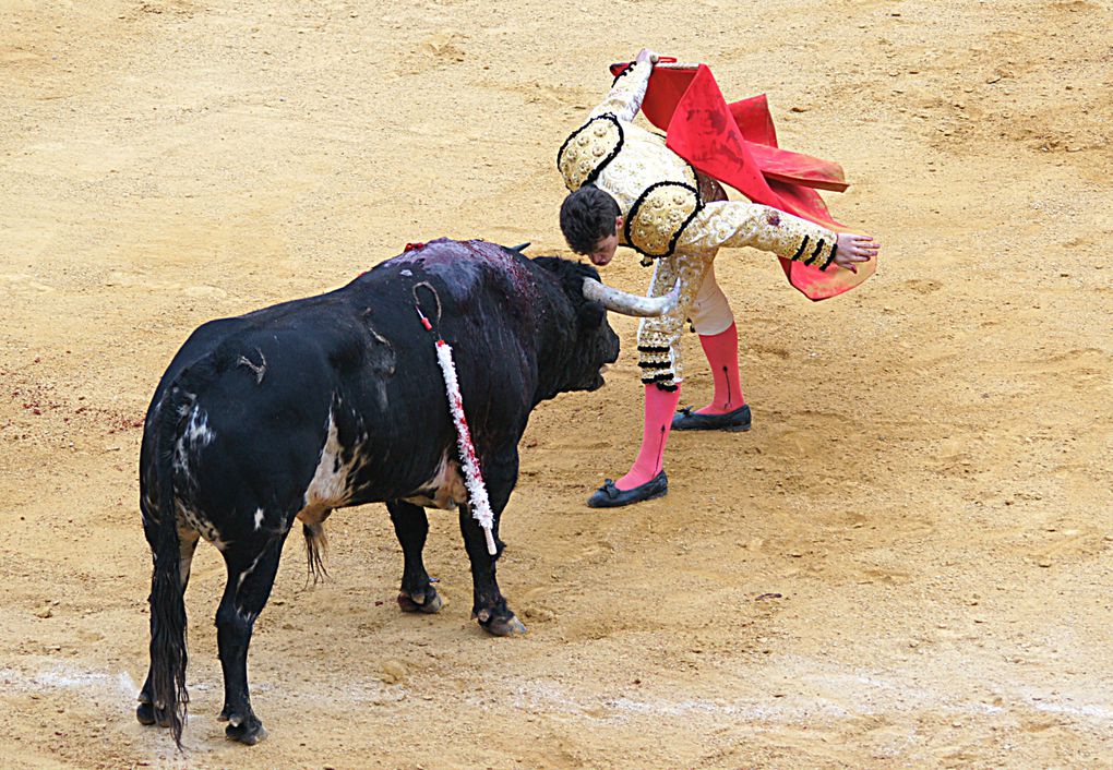 Album - 2012 / 06 - Burgos