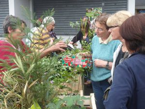 La Bourse aux Plantes et le partage à Bayonne