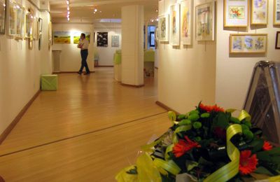 exposition à la maison du Bailli à Epinal