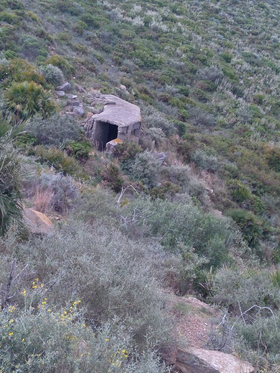 Rando Sierra de carbonera