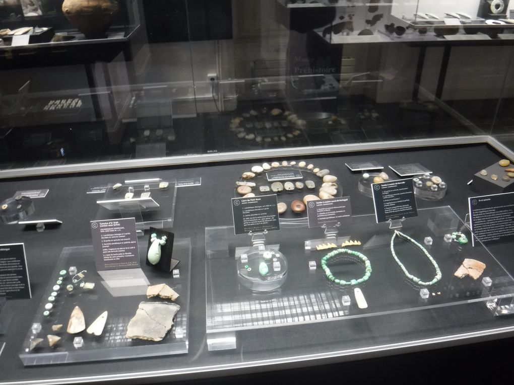 Raconte ta matinée au musée de la Préhistoire