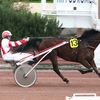 STELLA DU MELEUC ET QUEEN LOUKI A VINCENNES LE LUNDI 14 NOVEMBRE.