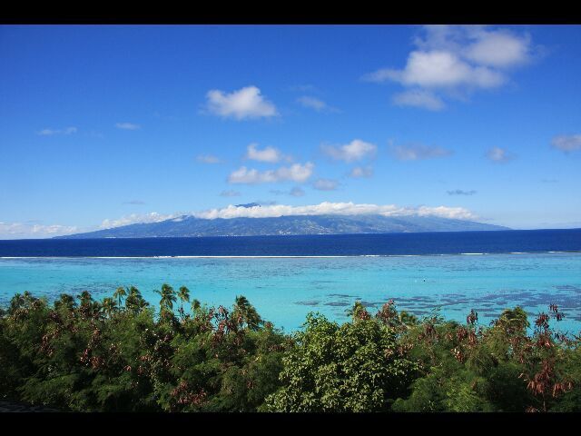 Album - MOOREA-1