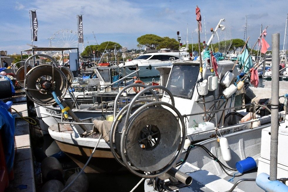 PAPILLES ET PUPILLES EN EVEIL AU MARCHE D’ANTIBES (2)