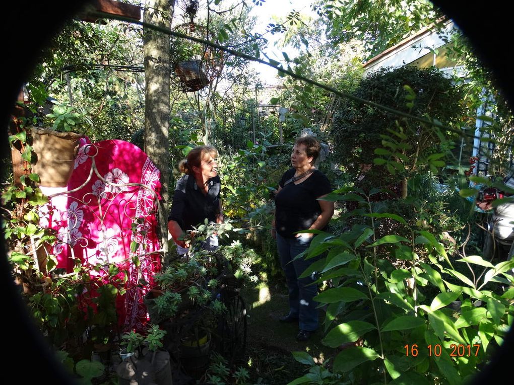 Mon jardin ce 21 octobre .....