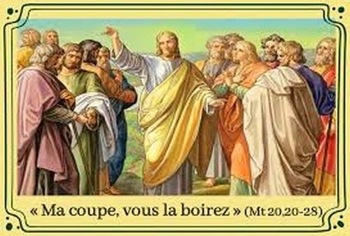 Une coupe