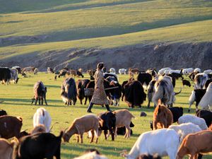 Mongolian pieces of life in the Naiman Nuur - Part 2