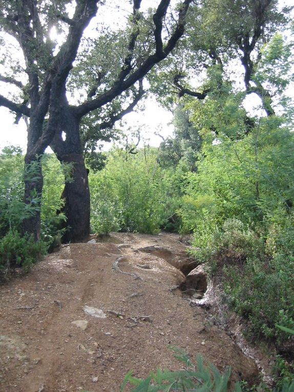 Quelques vues du tracé empruntant les pistes et chemein situés sur le domaine du conservatoire du littoral.